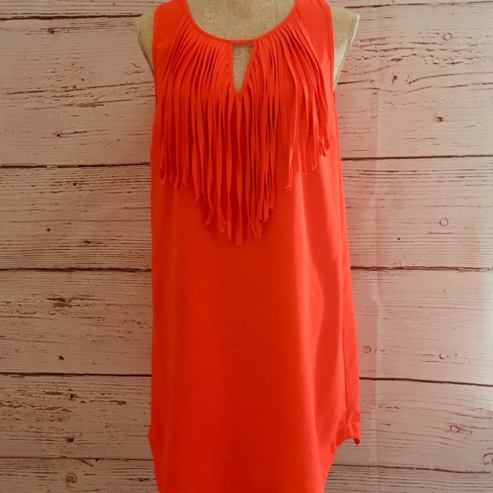 Sleeveless Fringe Dress
